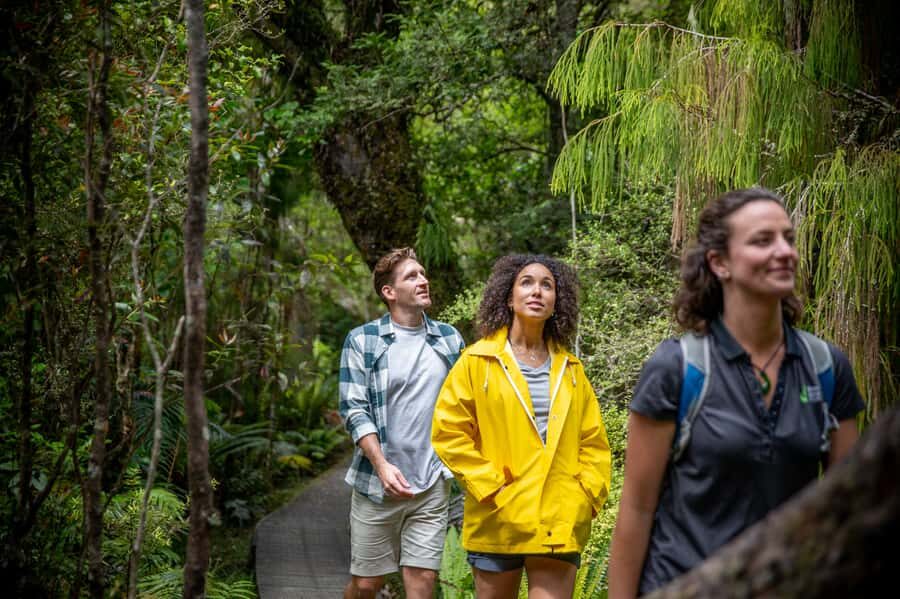 Stewart Island: Ulva Island Guided Wilderness Walk & Cruise - Who should book, and who should consider other options