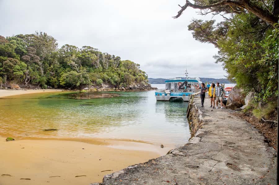 Stewart Island: Ulva Island Guided Wilderness Walk & Cruise - Should you book Ulva Island Guided Wilderness Walk & Cruise?