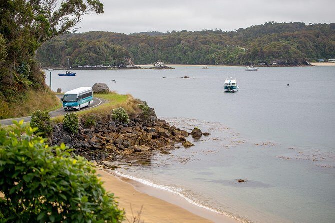 Stewart Island: Village and Bays Tour - Observation Rock and Paterson Inlet: The Viewpoint That Finishes Strong