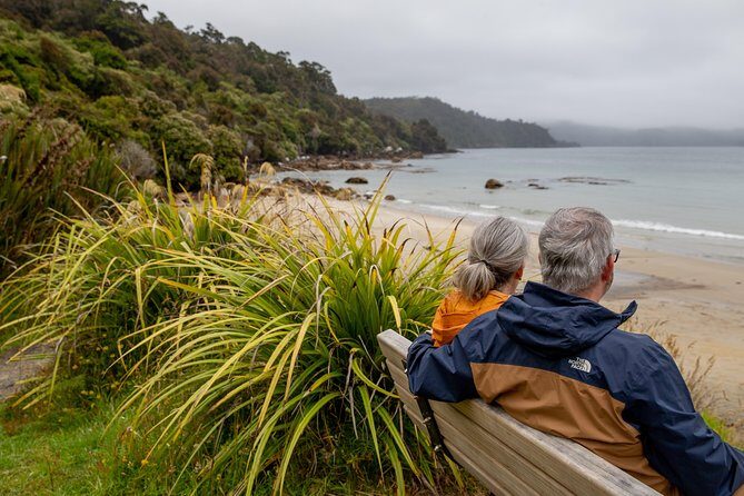 Stewart Island: Village and Bays Tour - Price and Logistics: Getting More for Your $35 Than You’d Expect