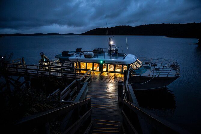 Stewart Island: Wild Kiwi Experiences - Guide impact: why small groups matter for kiwi sightings