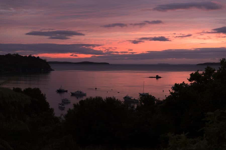 Stewart Island: Wild Kiwi Experiences - Price and value: is $154 worth it?