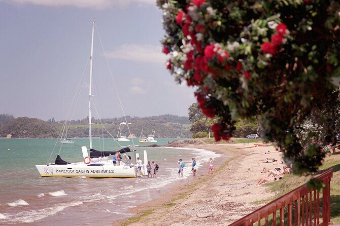 Sundowner Evening Cruise - 2 hour evening sailing cruise with swim stop - Why the Bay of Islands at 5pm feels special