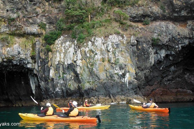 Sunrise wildlife sea kayaking in Akaroa marine reserve - Where It Starts: Ākaroa Bowling Club at 7:30 AM