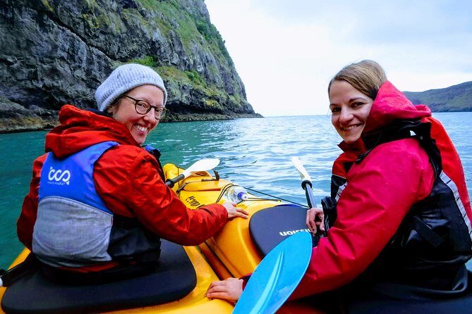 Sunrise wildlife sea kayaking in Akaroa marine reserve - Getting Ready on the Water: Orientation That Actually Helps