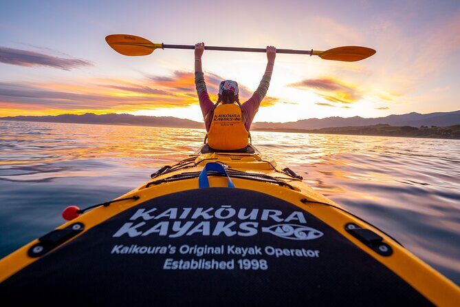 Sunset Evening Kayaking Tour - Kaikoura - Key things to know before you book Sunset Evening Kayaking Tour
