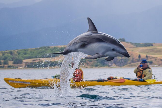Sunset Evening Kayaking Tour - Kaikoura - The Kaikoura Kayaks setup: what you get for about $100