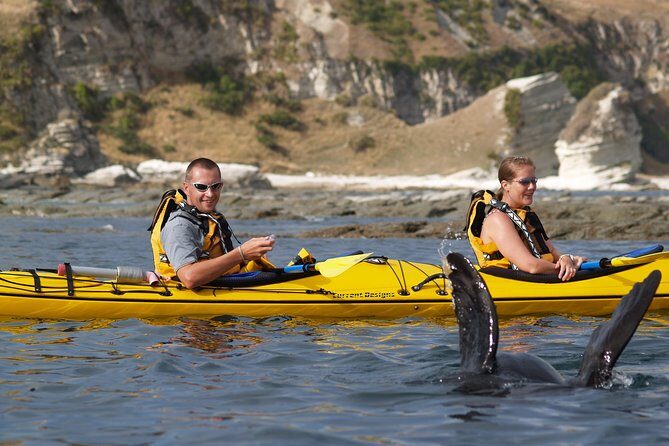 Sunset Evening Kayaking Tour - Kaikoura - Group size, guide style, and what “safe and fun” looks like