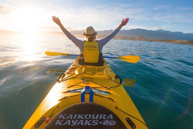 Sunset Evening Kayaking Tour - Kaikoura - What happens before you paddle: meeting point and first briefing
