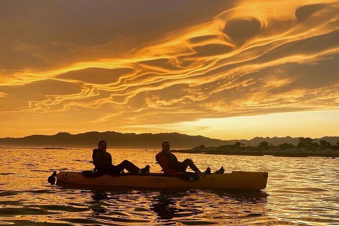 Sunset Kayak tour in Kaikoura - Key Highlights I’d Plan Around
