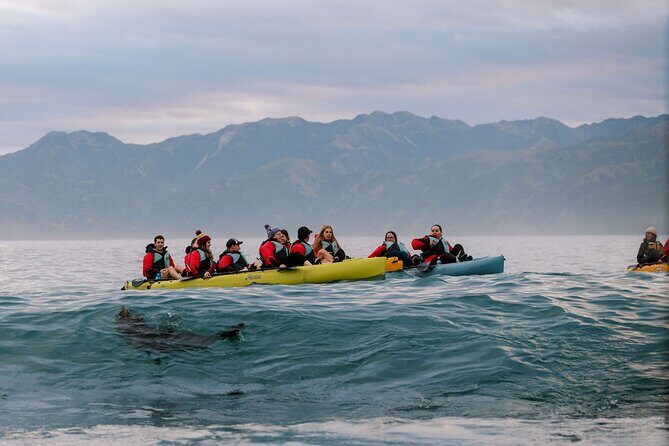 Sunset Kayak tour in Kaikoura - Why Pedal Kayaking Feels Effortless at Kaikōura’s Sunset