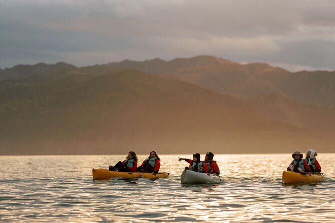Sunset Kayak tour in Kaikoura - Hobie Mirage Drive: Comfort, Control, and Photo-Friendly Cruising