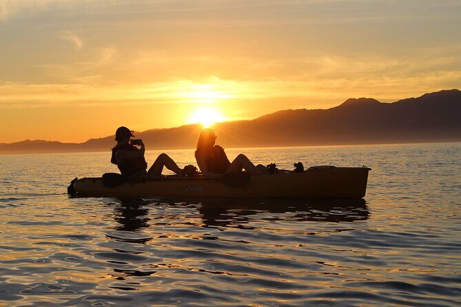 Sunset Kayak tour in Kaikoura - Price and Value: What €71.53 Buys You in Real Terms
