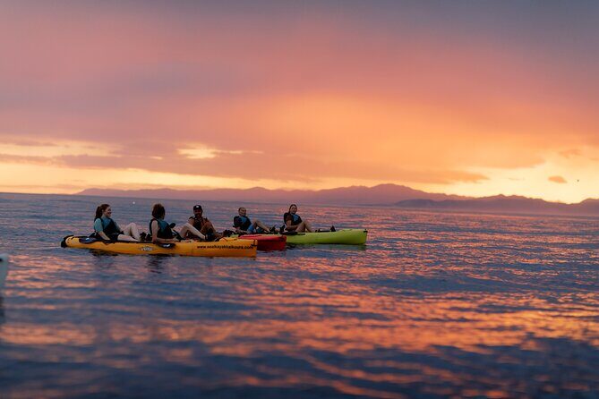 Sunset Kayak tour in Kaikoura - The 5:30pm Timing: Getting the Light and the Wildlife Window