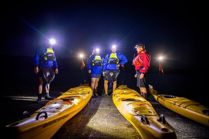 Sunset kayak tour to Rangitoto Island - Rangitoto Island walk-up: your summit payoff (and the climb reality)