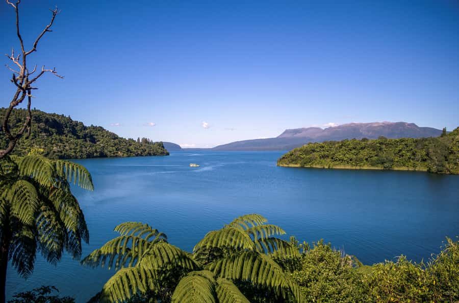 Tarawera and Lakes 2-Hour Duck Eco Tour - Rotorua’s WWII Duck: a fun way to see Lakes District for two hours