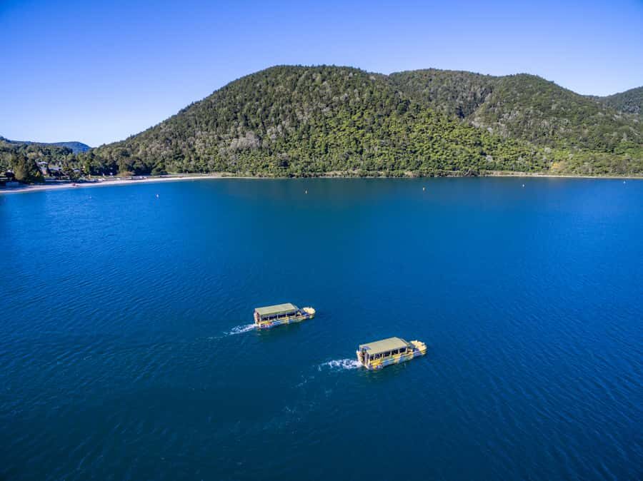 Tarawera and Lakes 2-Hour Duck Eco Tour - Price and value: $65 for a two-hour combo of road, water, and live guiding