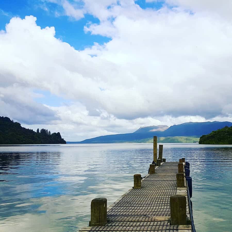 Tarawera and Lakes 2-Hour Duck Eco Tour - Who this tour fits best (and who might want a different style)