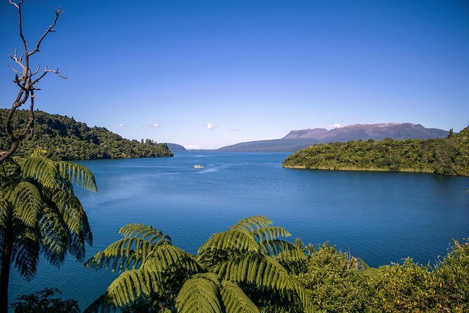 Tarawera and Rotorua Lakes Eco Tour by Boat with Guide - Guides make or break this ride: humor + real details