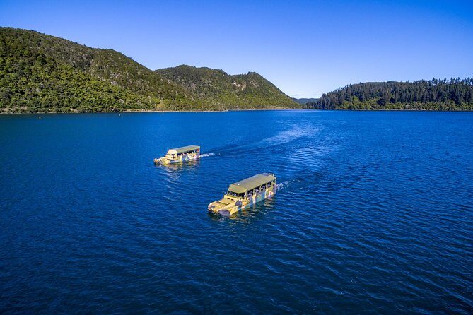 Tarawera and Rotorua Lakes Eco Tour by Boat with Guide - Who should book this tour, and who should skip it