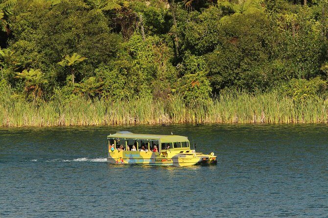 Tarawera and Rotorua Lakes Eco Tour by Boat with Guide - Should you book the Tarawera and Rotorua Lakes Eco Tour by Boat?