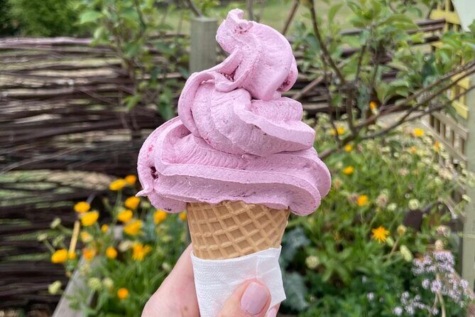 Taste Hawke's Bay - A Sweet treat food Tour - Havelock North: Real Fruit Ice Cream Blended On the Spot