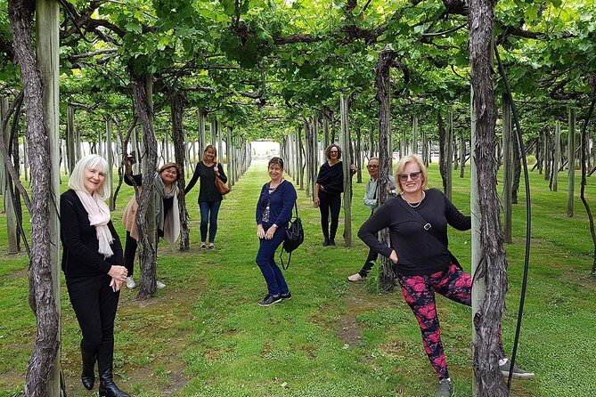 Taste the Valley Wine Tour in Marlborough with Wine Tasting - What You’ll Leave With: A Palate You Can Actually Use