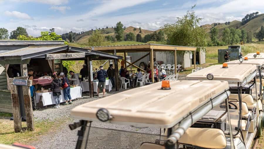 Taumarunui: Forgotten World Rail Cart Tour with Lunch - Key highlights you’ll feel right away