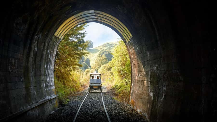 Taumarunui: Forgotten World Rail Cart Tour with Lunch - Why Taumarunui’s rail cart tour feels like time travel