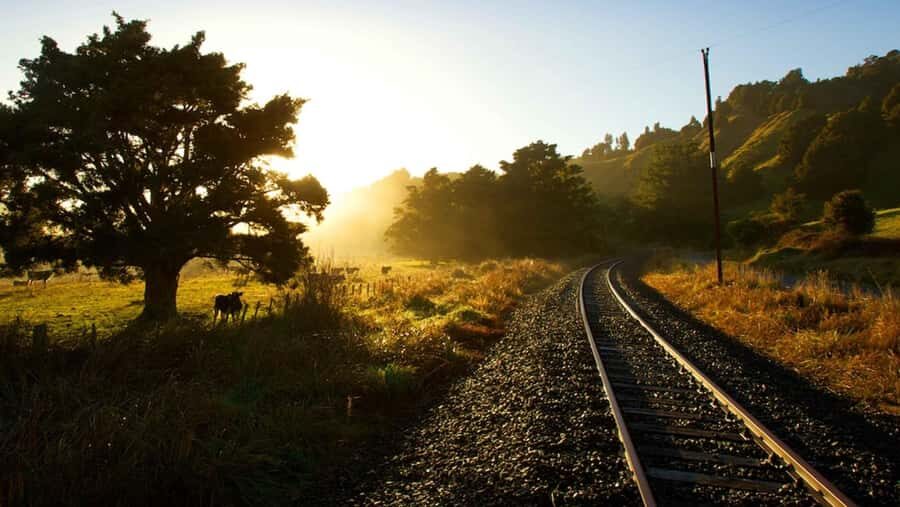 Taumarunui: Forgotten World Rail Cart Tour with Lunch - Okahukura to the first tunnels: slow countryside riding you can actually enjoy