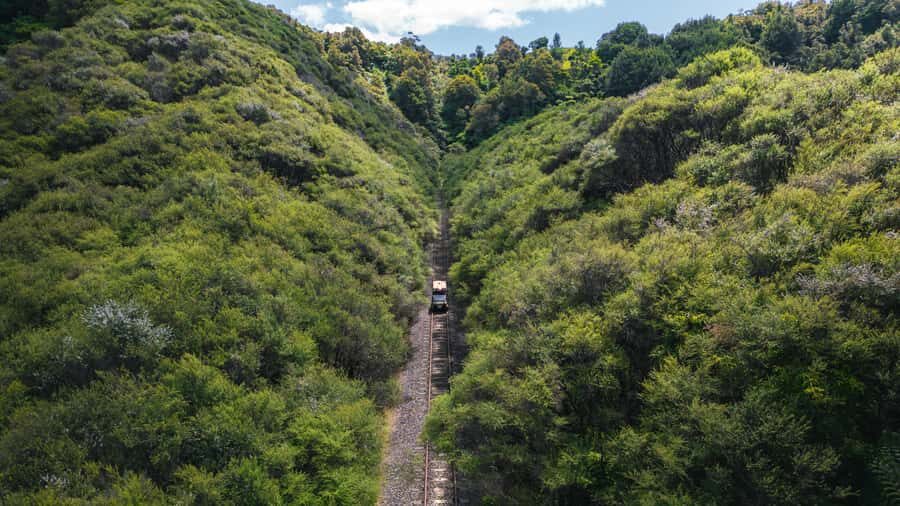 Taumarunui: Railcart and Jetboat Adventure with lunch - Key highlights to know before you go