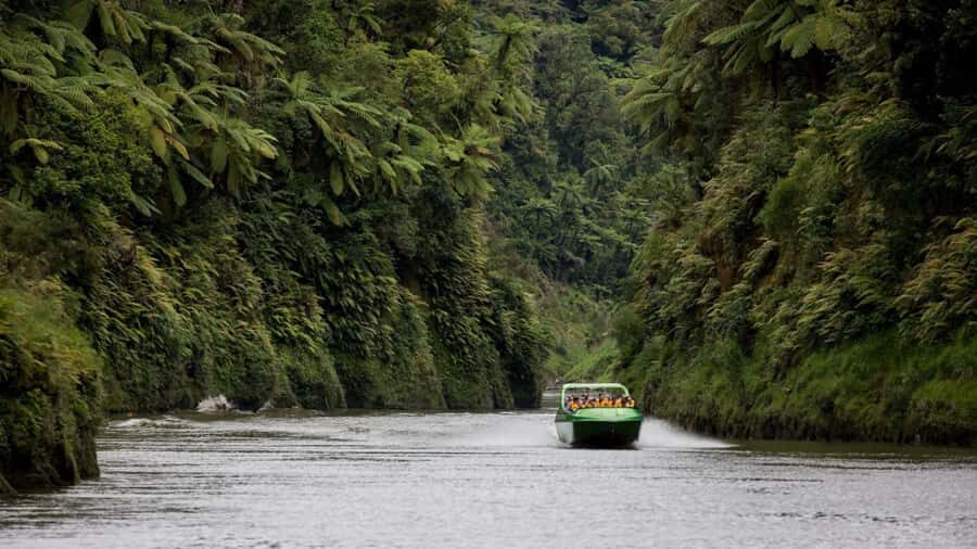 Taumarunui: Railcart and Jetboat Adventure with lunch - Forgotten World rail cart: what the track ride actually feels like