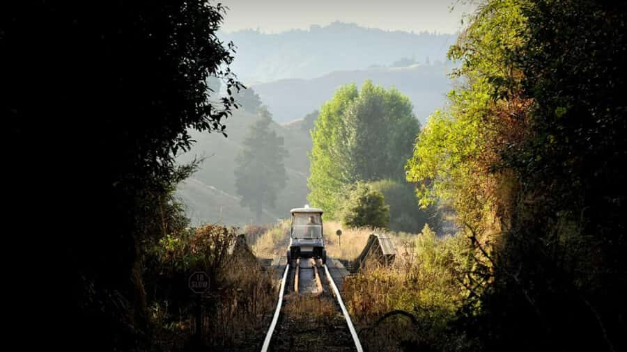 Taumarunui: Railcart and Jetboat Adventure with lunch - Matiere morning tea: a small stop that adds real texture
