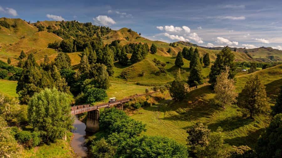 Taumarunui: Railcart and Jetboat Adventure with lunch - Okahukura to Tokirima Station: tunnels, bridges, and pioneer context
