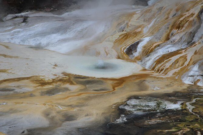 Taupo Day Trip with Orakei Korako or Waiotapu from Rotorua - Wai-O-Tapu Thermal Wonderland vs Orakei Korako: Which Stop Fits Your Day?