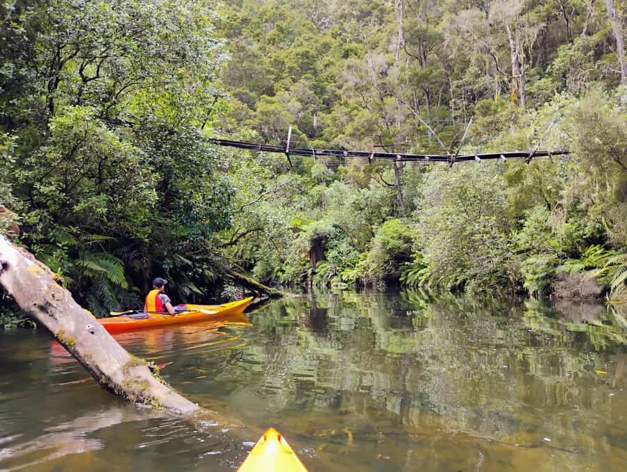 Taupō: Hidden Lake Kayak Tour with Sunken Forest Views - 5 Things You’ll Remember From This Tour