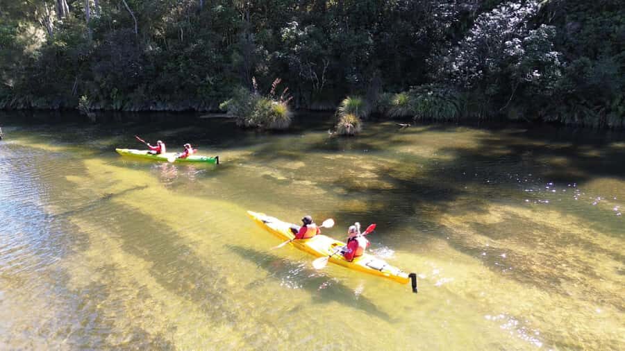 Taupō: Hidden Lake Kayak Tour with Sunken Forest Views - The Main Event: 2.5 Hours of Kayaking on Hidden Lake