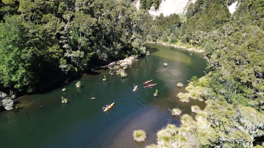 Taupō: Hidden Lake Kayak Tour with Sunken Forest Views - Gliding Over the Sunken Forest (Yes, It’s Really the Hook)