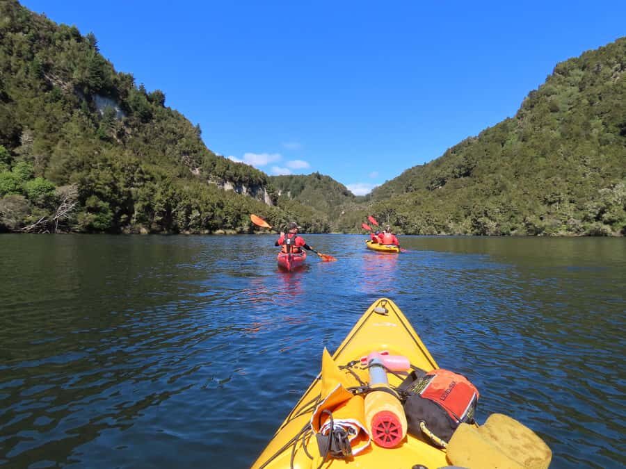 Taupō: Hidden Lake Kayak Tour with Sunken Forest Views - Price and Value: Is $98 Worth It?