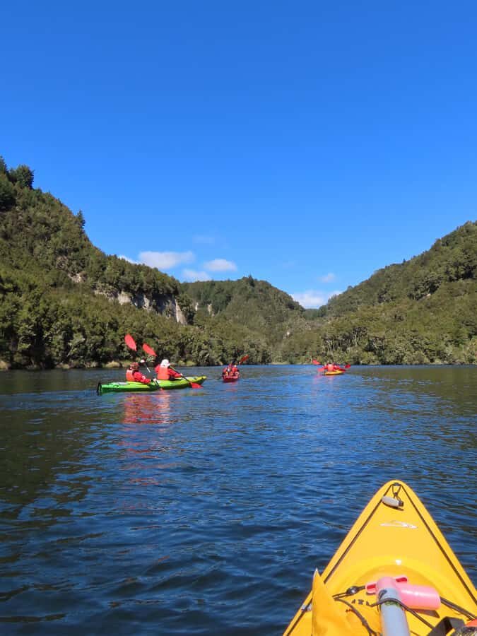 Taupō: Hidden Lake Kayak Tour with Sunken Forest Views - Logistics Without the Headaches: Timing and Group Size
