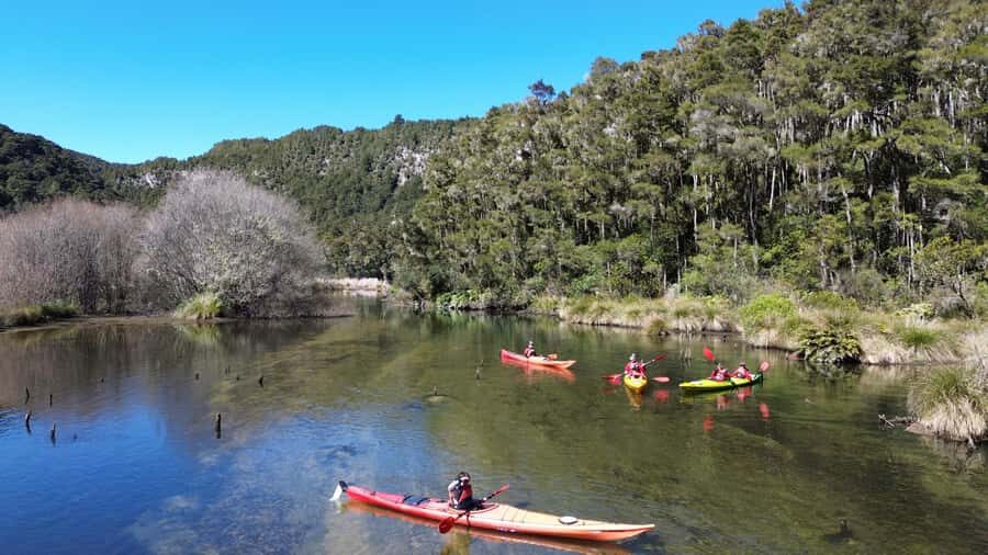 Taupō: Hidden Lake Kayak Tour with Sunken Forest Views - The Safety Briefing That Makes Beginners Feel Okay