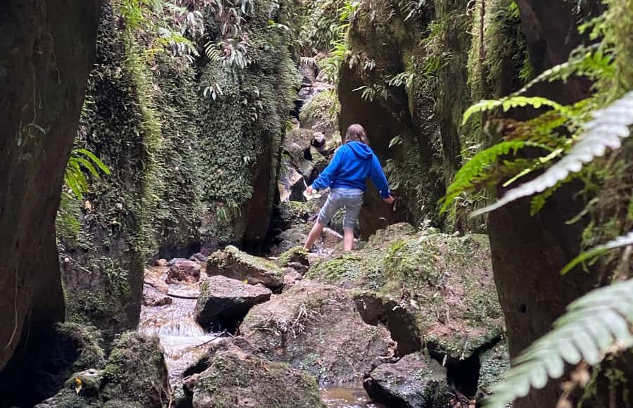 Taupo: Lake Taupo Western Bays Catamaran Tour with Bush Walk - The guide and small-group feel: Ian’s style and why it matters