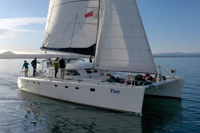 Taupo Return Shuttle - The return ride: stress-free back to Taupo
