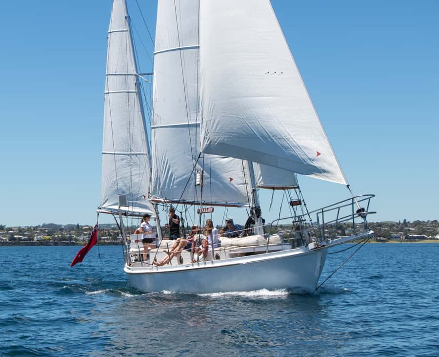 Taupō: Sail Barbary Eco Sailing to the Maori Rock Carvings - Price and logistics: why this is good value, and what could change