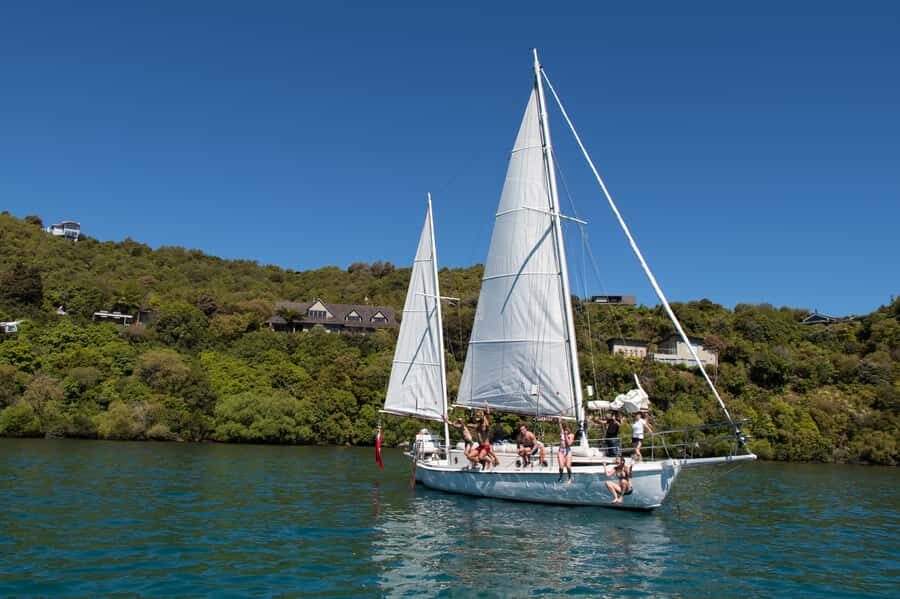 Taupō: Sail Barbary Eco Sailing to the Maori Rock Carvings - Who should book this eco sailing trip (and who should skip it)