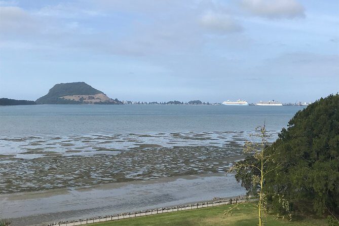 Tauranga City & History Scenic Tour – 2 Hours - Who this tour is perfect for
