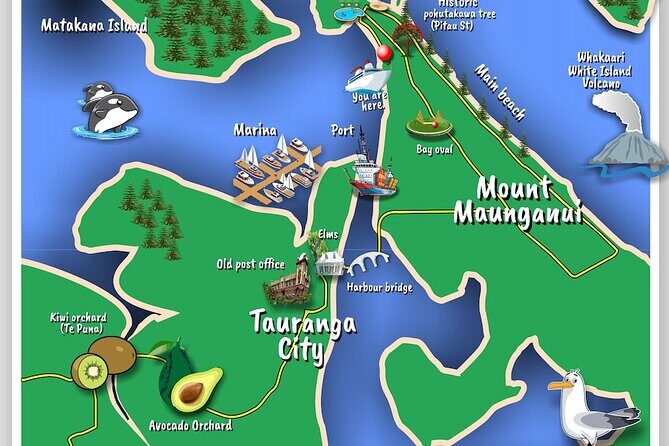 TAURANGA City & Scenic Sightseeing 2-hour Local Bus Tour - Key things I’d zero in on