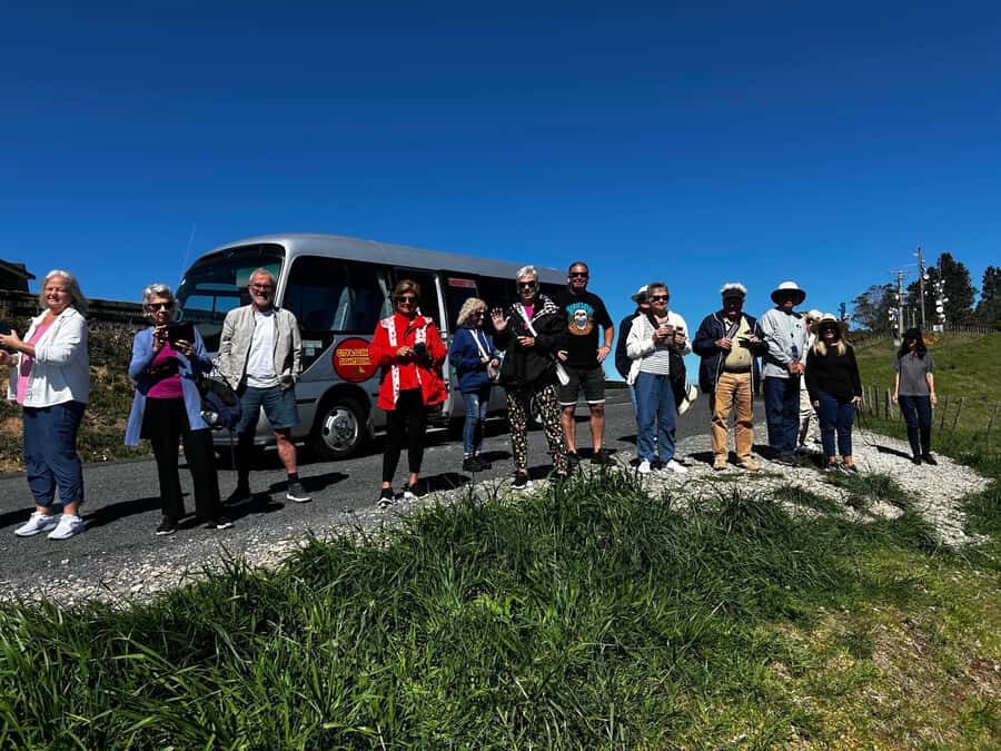 Tauranga City & Scenic Sightseeing 2-hour Local Tour - Who this Tauranga and Mount Maunganui tour suits best