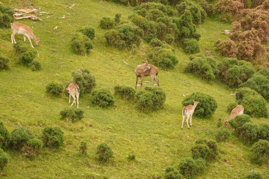 Tauranga City & Scenic Sightseeing 2-hour Local Tour - Before you go: cameras, comfort, and realistic expectations