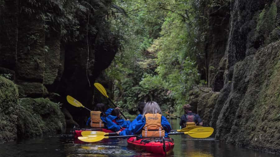 Tauranga: Daytime Scenic Lake McLaren Kayak Tour - Gear and briefing: what you get before you paddle